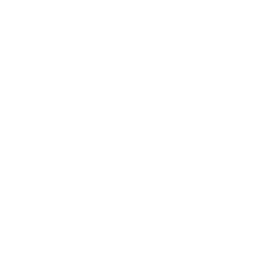 Metropolitan Transport